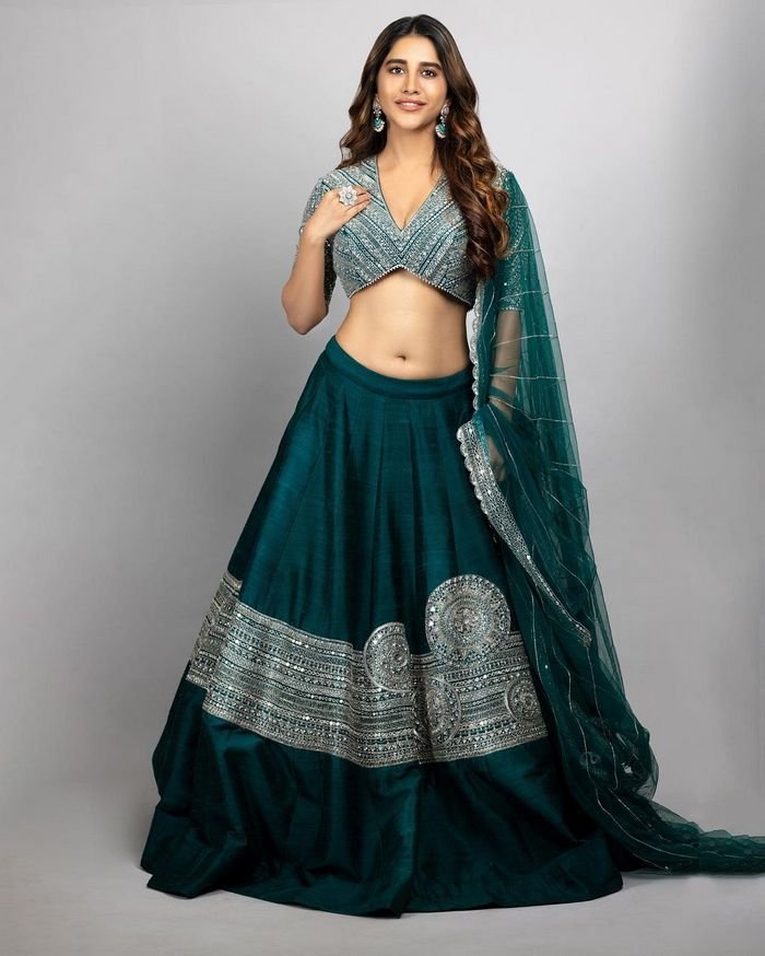 nabha natesh 2